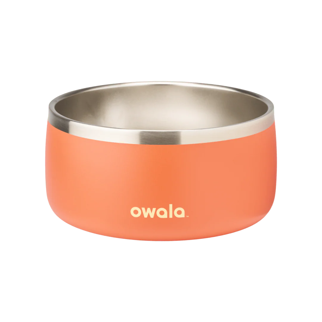 Pet Bowl - Image 21