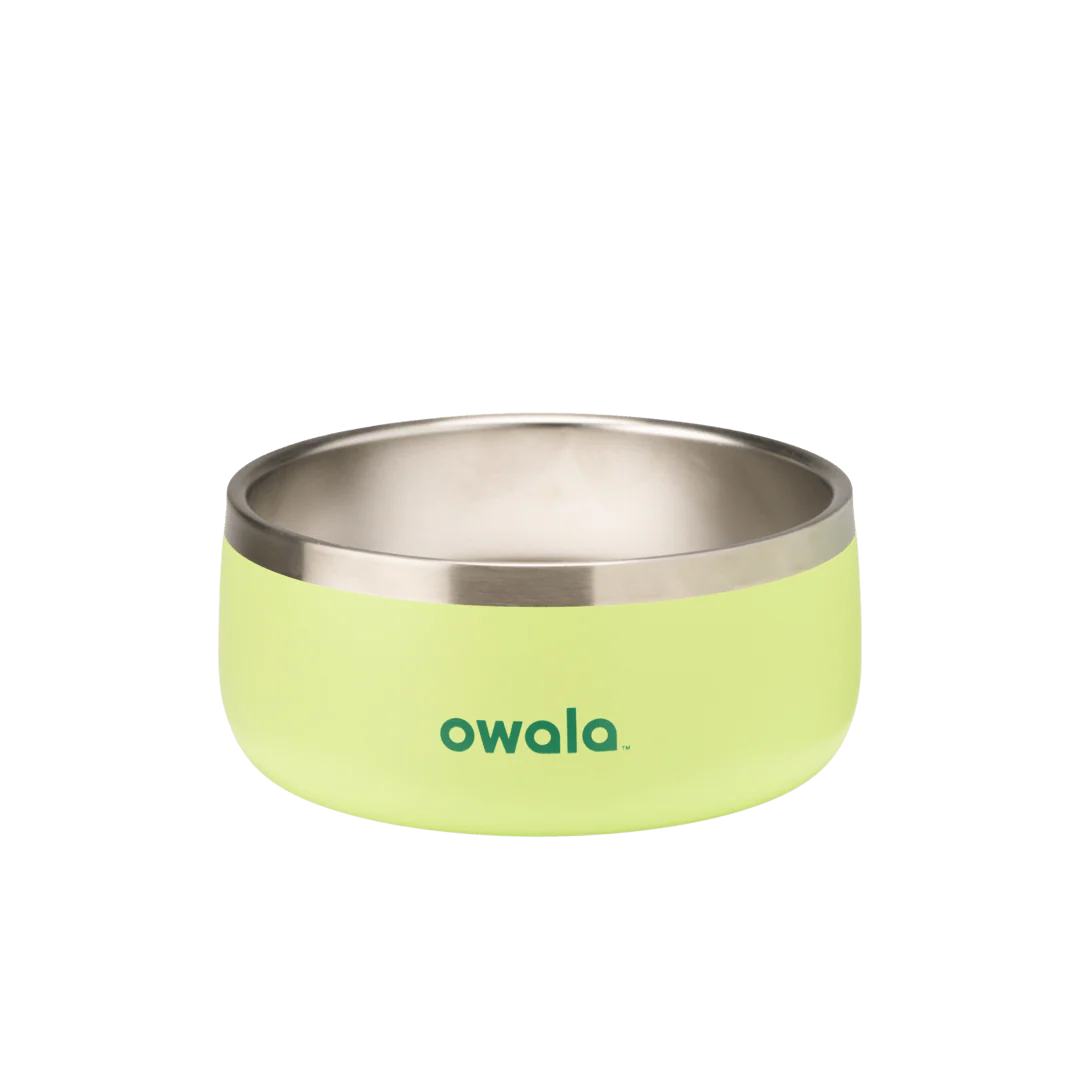 Pet Bowl - Image 24