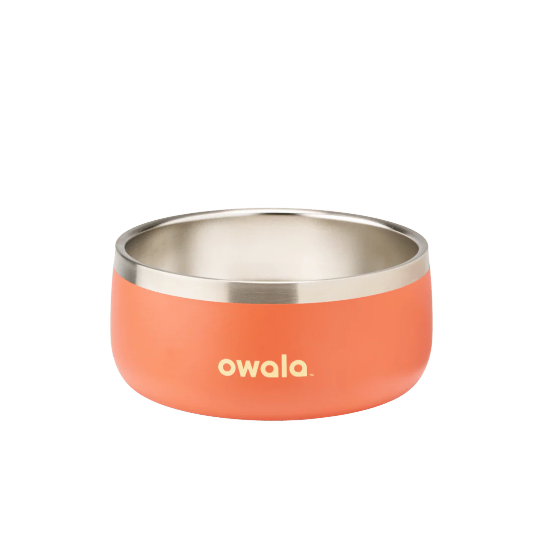 Pet Bowl - Image 25