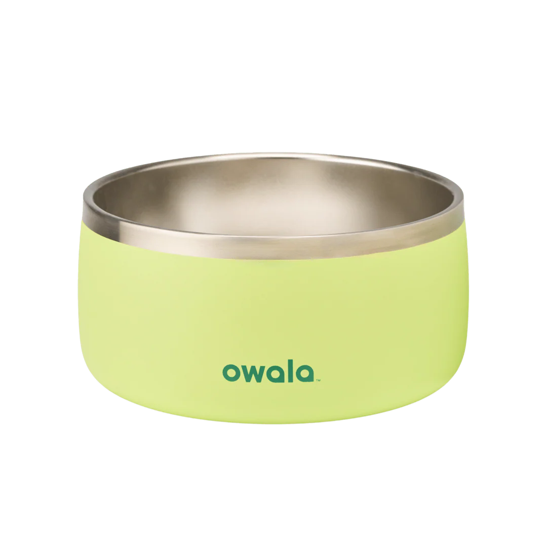 Pet Bowl - Image 27