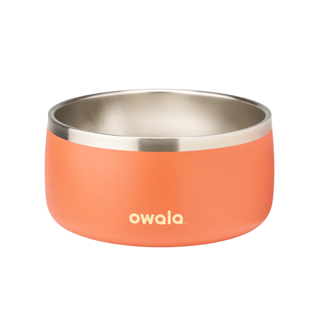 Pet Bowl - Image 28