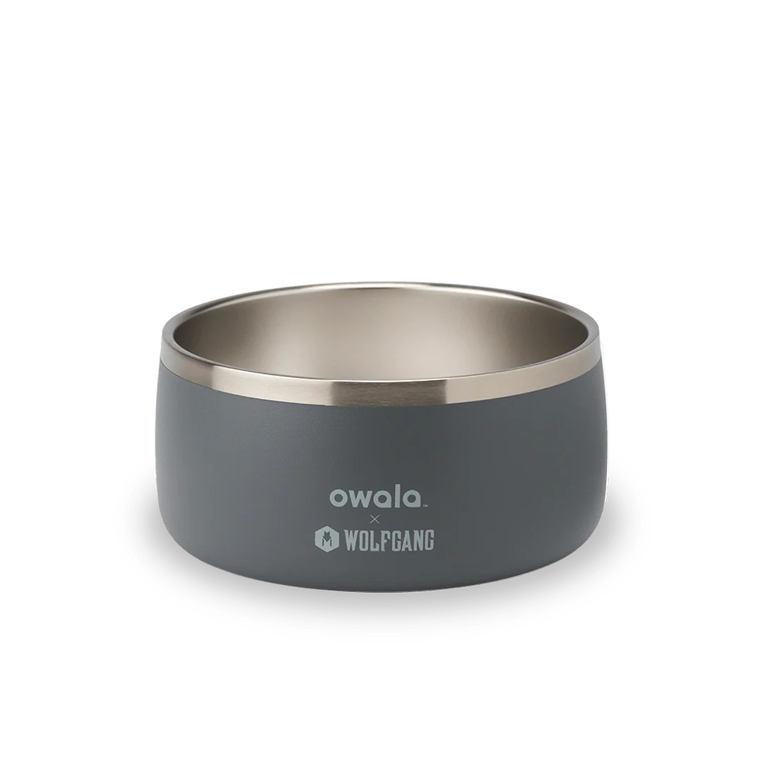 Pet Bowl - Image 4