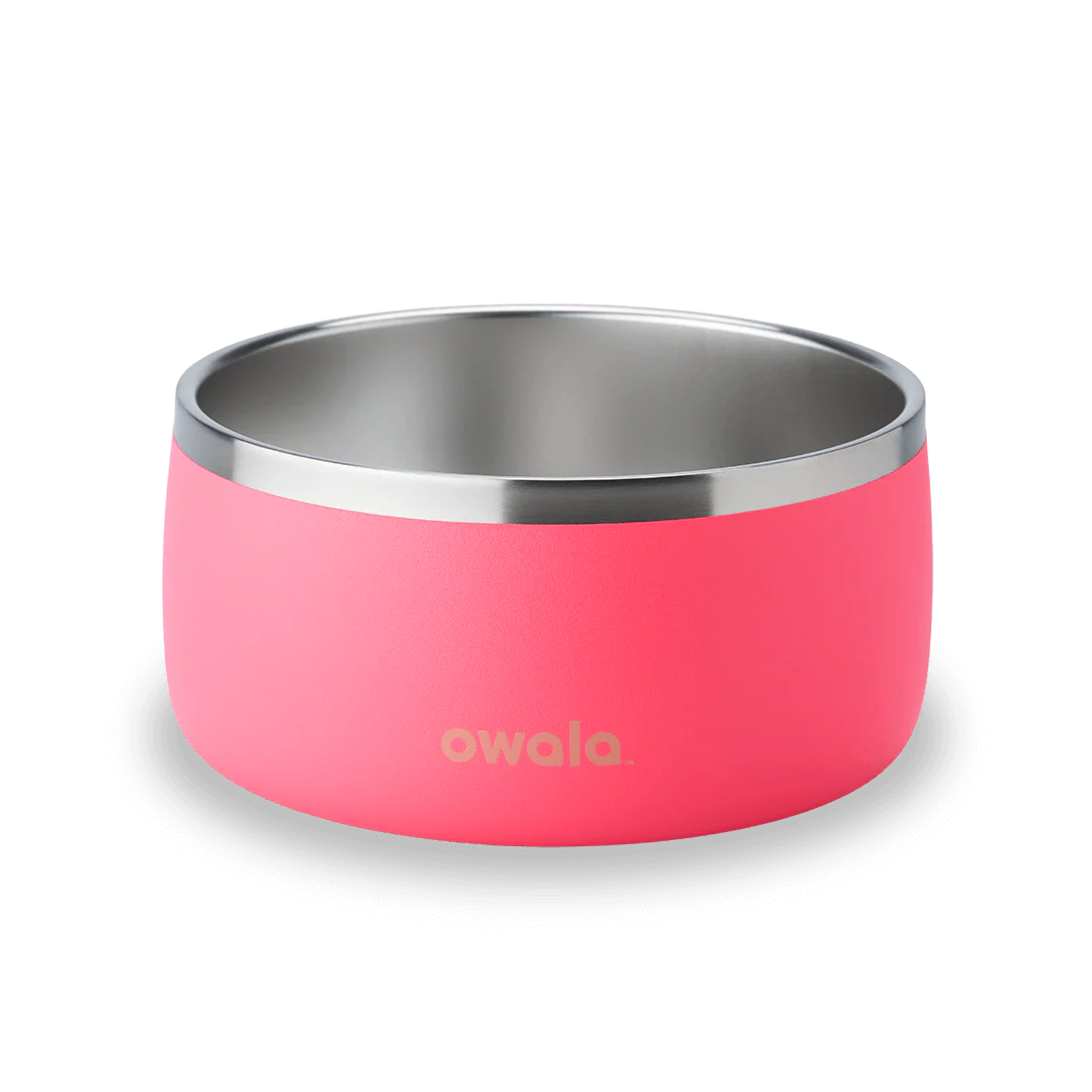 Pet Bowl - Image 8